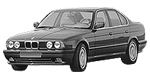 BMW E34 P1019 Fault Code